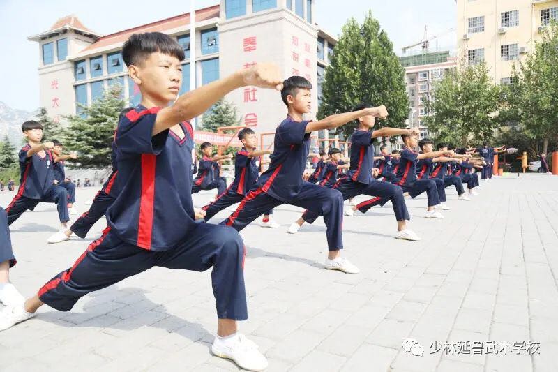 替那些过早放弃武术的孩子感到惋惜